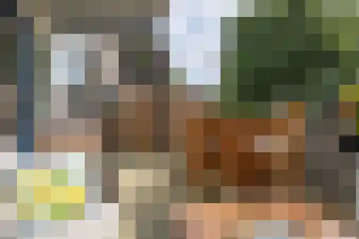 Verwerakker 28 Koog aan de Zaan thumbnail 24