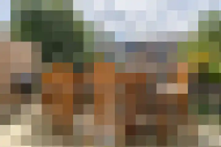 Verwerakker 28 Koog aan de Zaan thumbnail 25