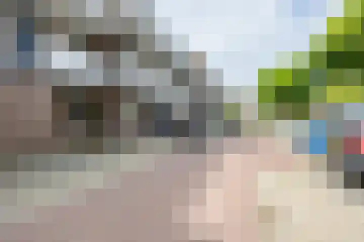 Verwerakker 28 Koog aan de Zaan thumbnail 27