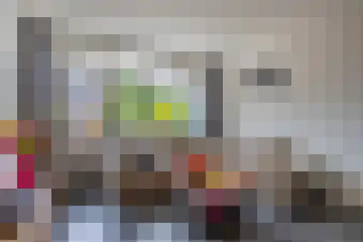 Verwerakker 28 Koog aan de Zaan thumbnail 6