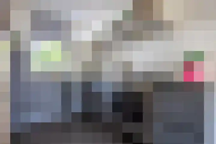 Verwerakker 28 Koog aan de Zaan thumbnail 9