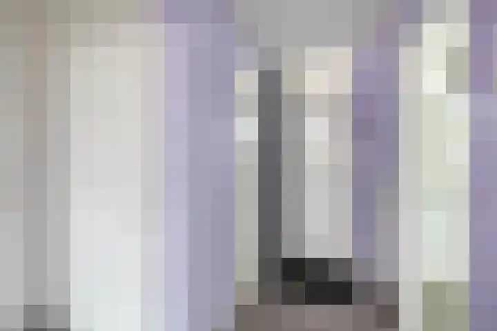 Verwerakker 30 Koog aan de Zaan thumbnail 15