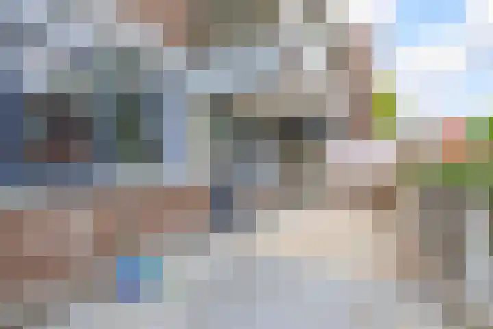 Verwerakker 30 Koog aan de Zaan thumbnail 22
