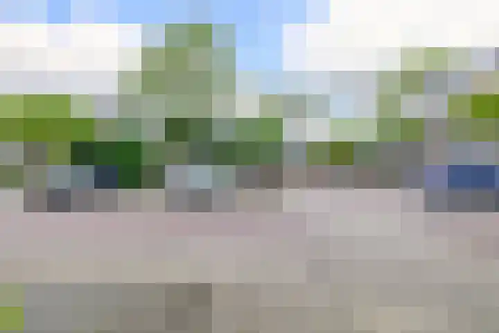 Verwerakker 30 Koog aan de Zaan thumbnail 23
