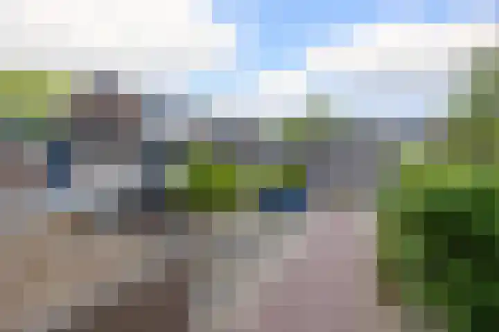 Verwerakker 30 Koog aan de Zaan thumbnail 25