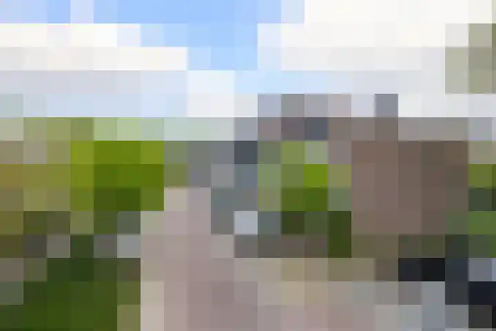 Verwerakker 30 Koog aan de Zaan thumbnail 26