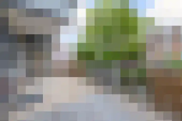 Verwerakker 30 Koog aan de Zaan thumbnail 27