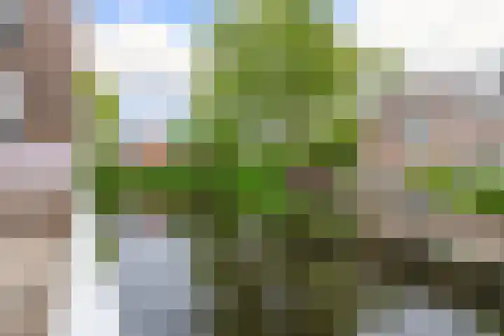 Verwerakker 30 Koog aan de Zaan thumbnail 28