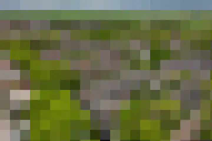 Verwerakker 30 Koog aan de Zaan thumbnail 29