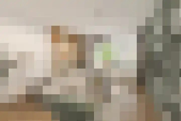 Verwerakker 30 Koog aan de Zaan foto 3