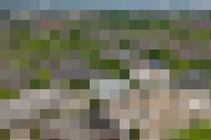 Verwerakker 30 Koog aan de Zaan thumbnail 30