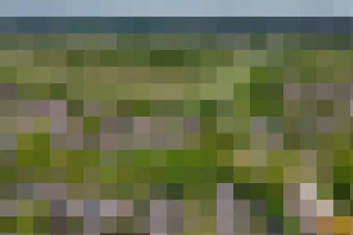 Verwerakker 30 Koog aan de Zaan thumbnail 32