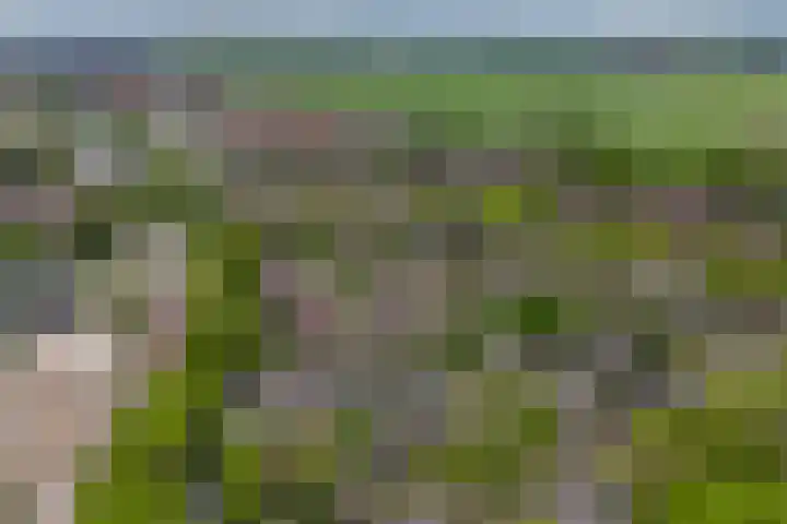 Verwerakker 30 Koog aan de Zaan thumbnail 33