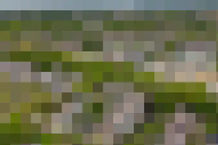 Verwerakker 30 Koog aan de Zaan thumbnail 35