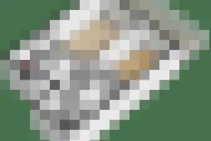Verwerakker 30 Koog aan de Zaan thumbnail 37