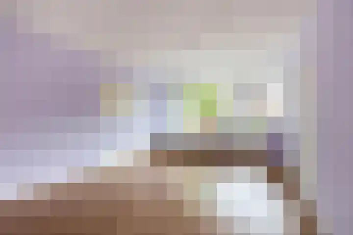 Verwerakker 30 Koog aan de Zaan thumbnail 4