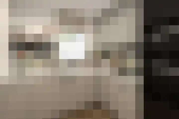 Verwerakker 30 Koog aan de Zaan thumbnail 6