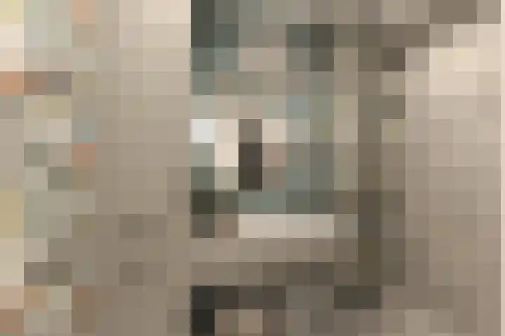 Verwerakker 30 Koog aan de Zaan thumbnail 8