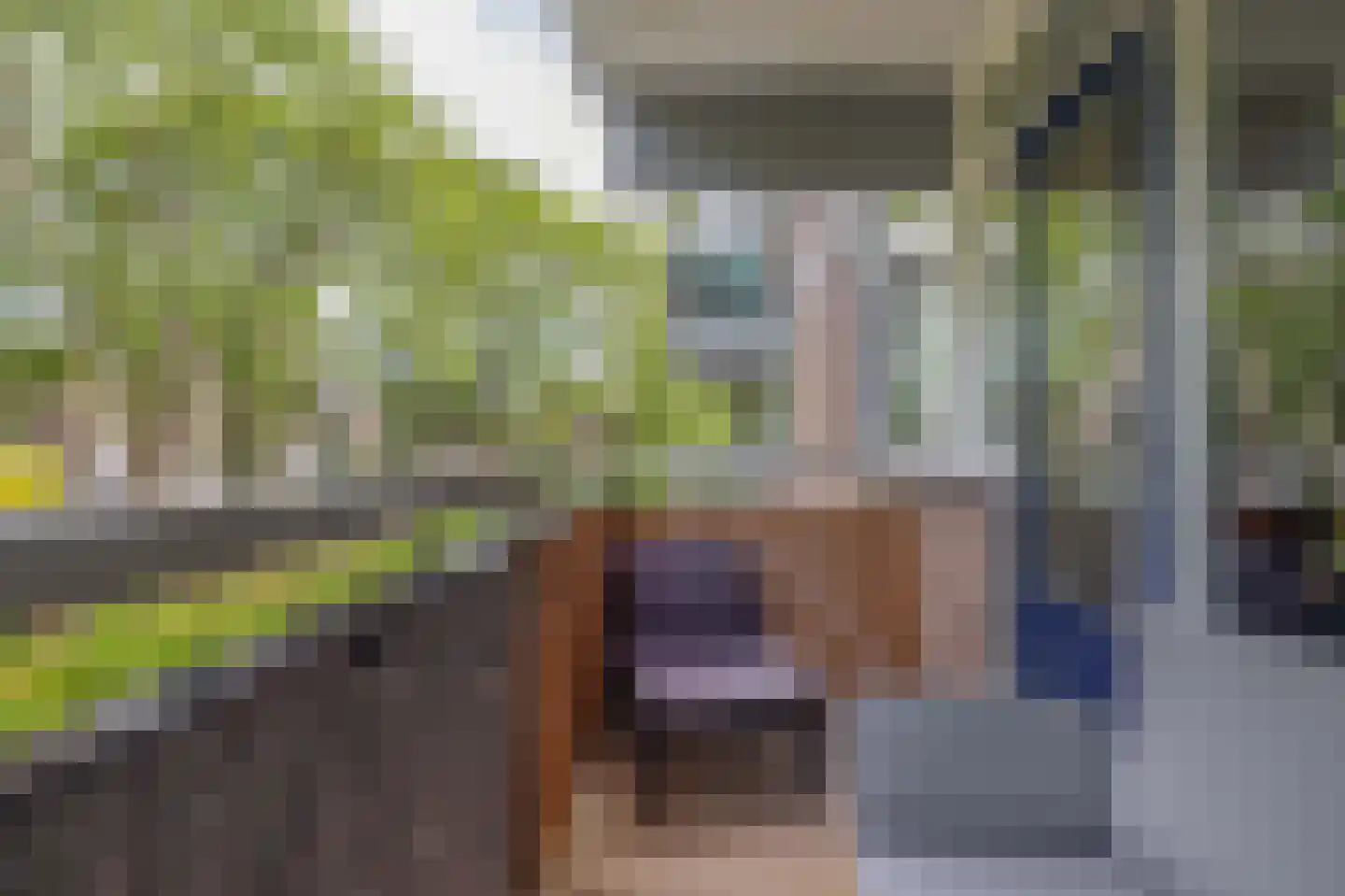Verwerakker 62 Koog aan de Zaan thumbnail 15