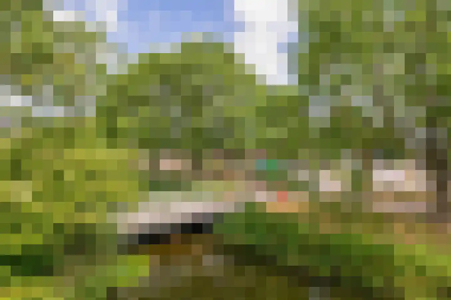 Verwerakker 62 Koog aan de Zaan thumbnail 16