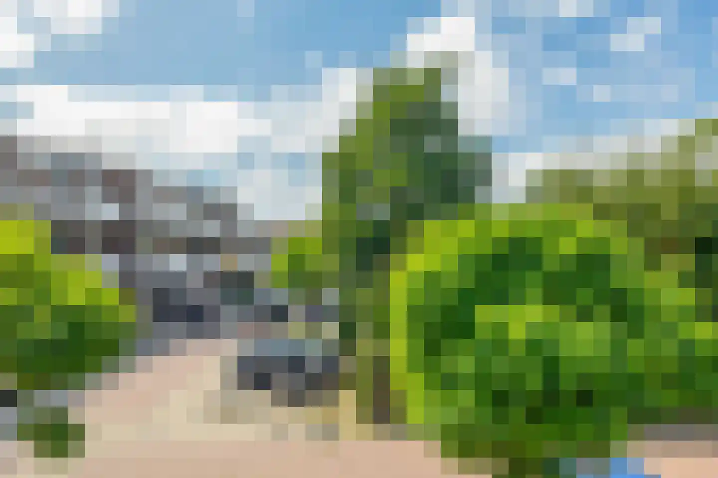 Verwerakker 62 Koog aan de Zaan thumbnail 30