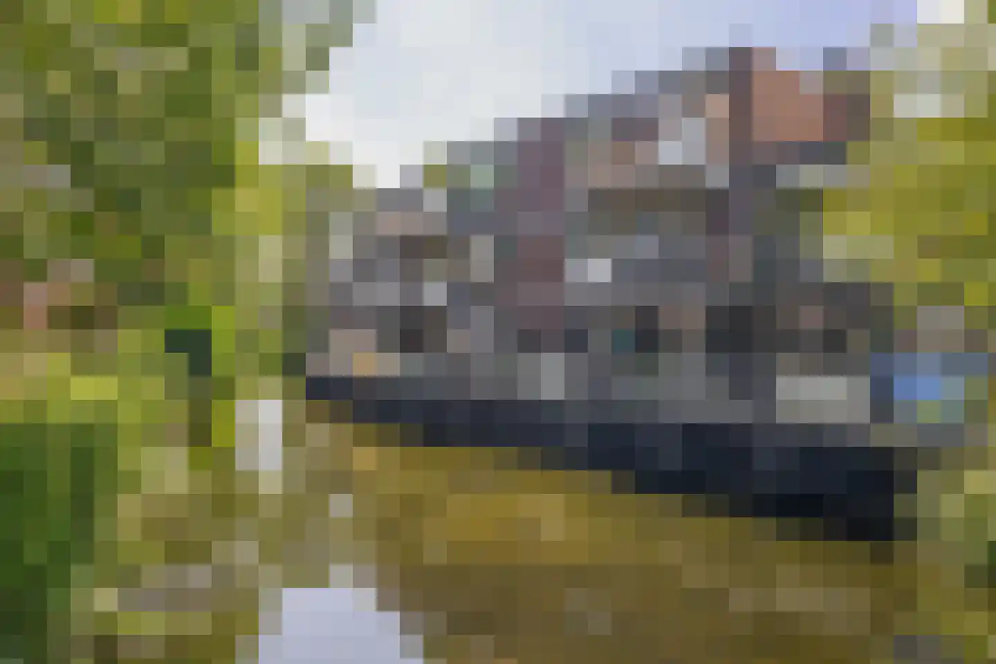 Verwerakker 62 Koog aan de Zaan thumbnail 32