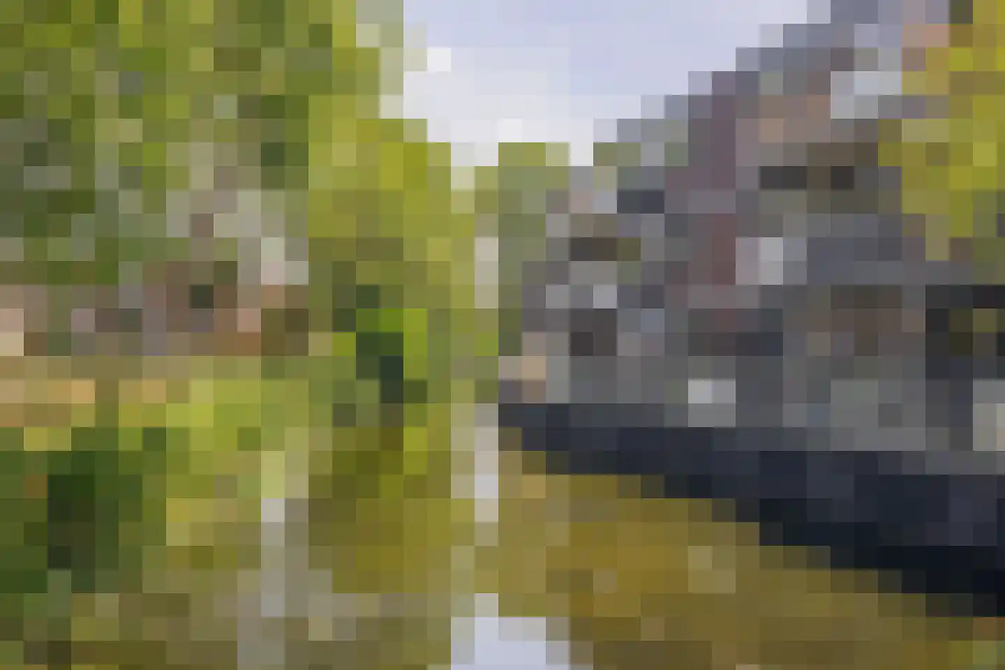 Verwerakker 62 Koog aan de Zaan thumbnail 33