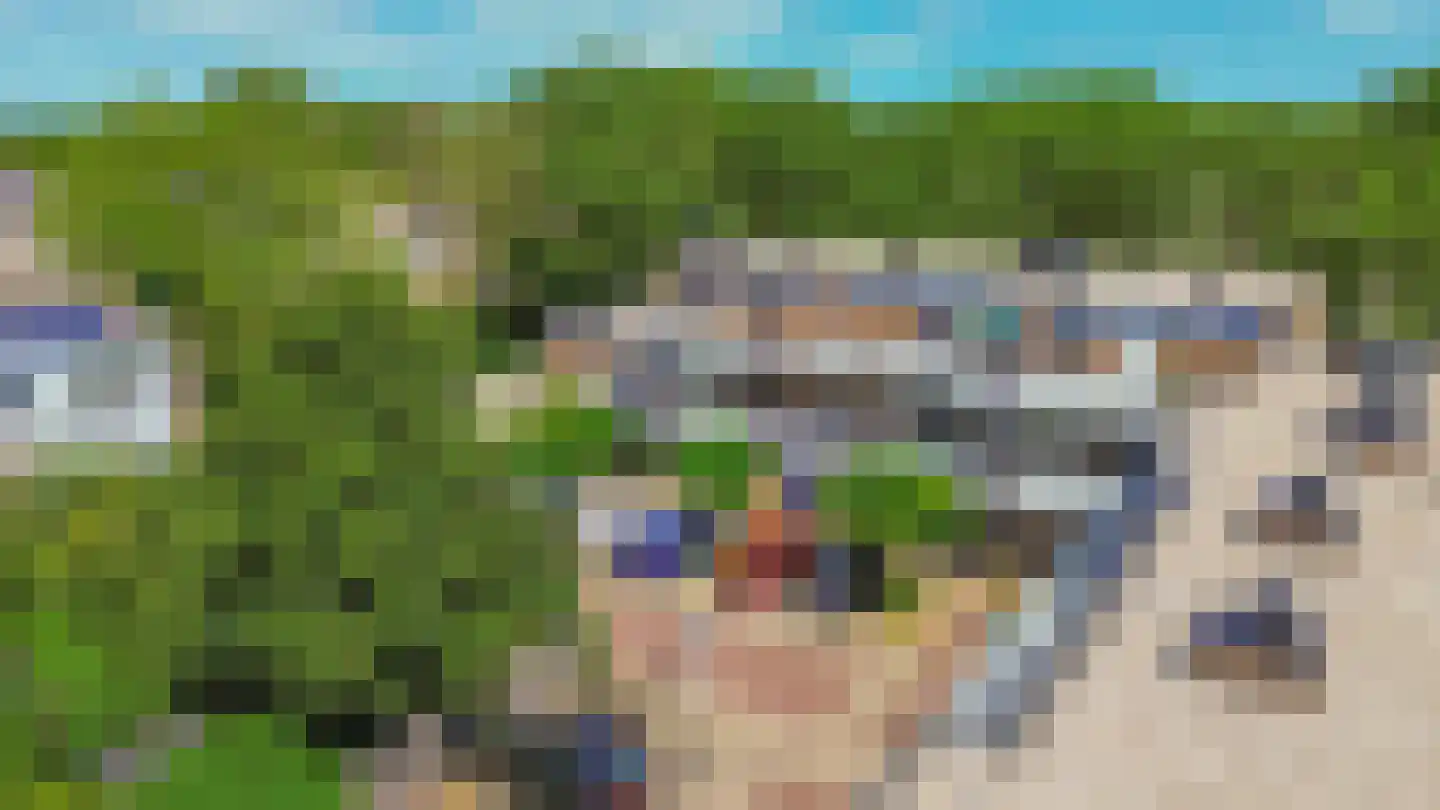 Verwerakker 62 Koog aan de Zaan thumbnail 35