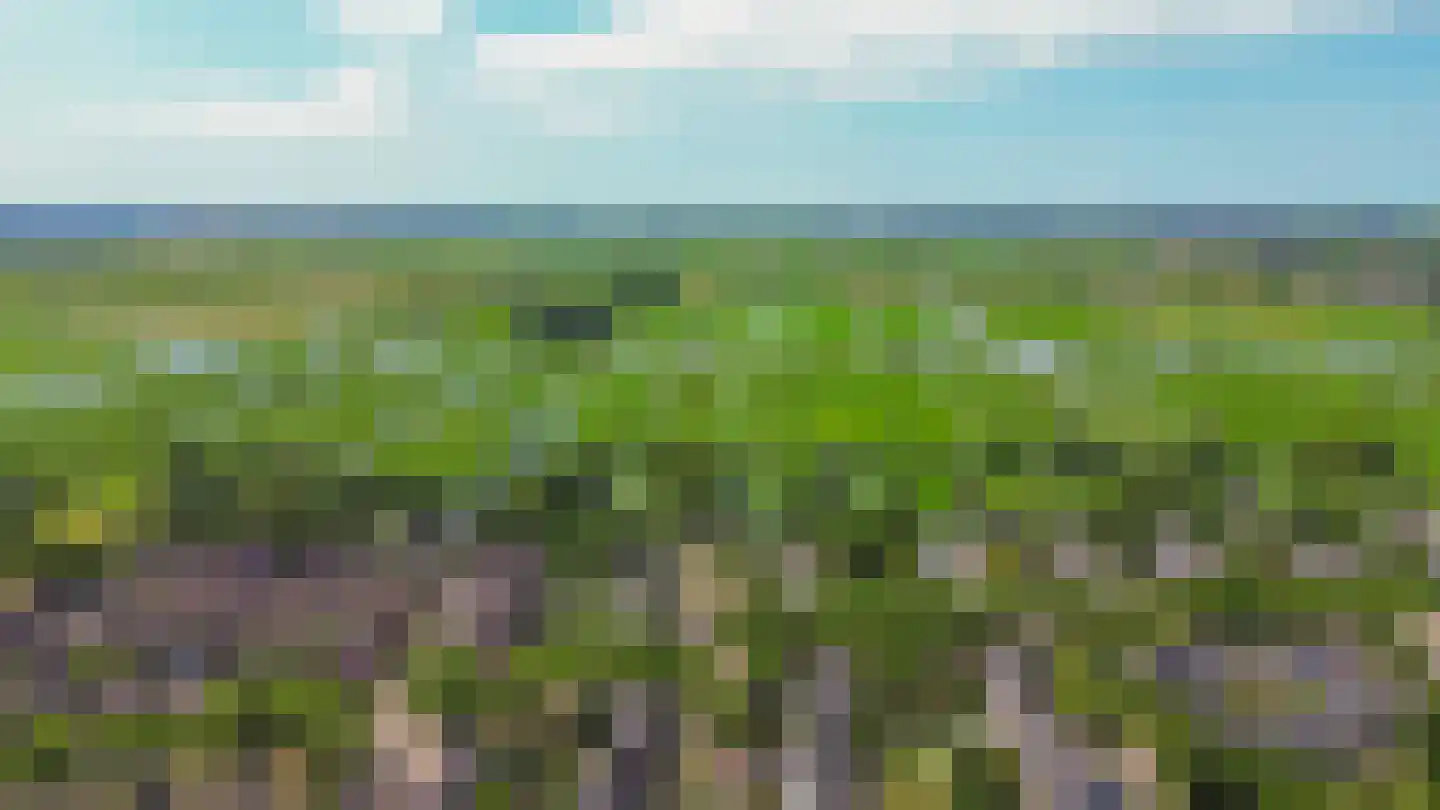 Verwerakker 62 Koog aan de Zaan thumbnail 38