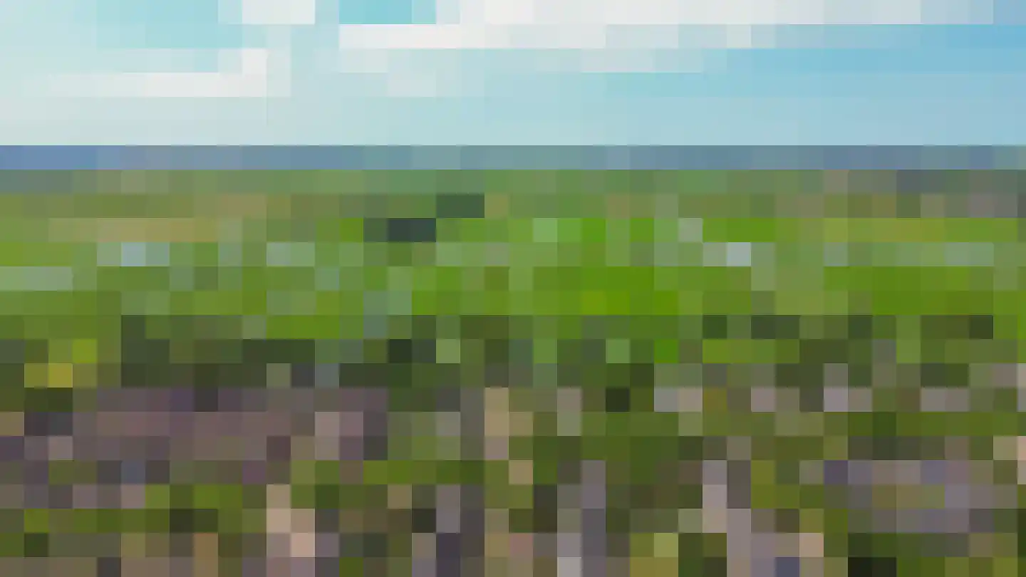 Verwerakker 62 Koog aan de Zaan thumbnail 39