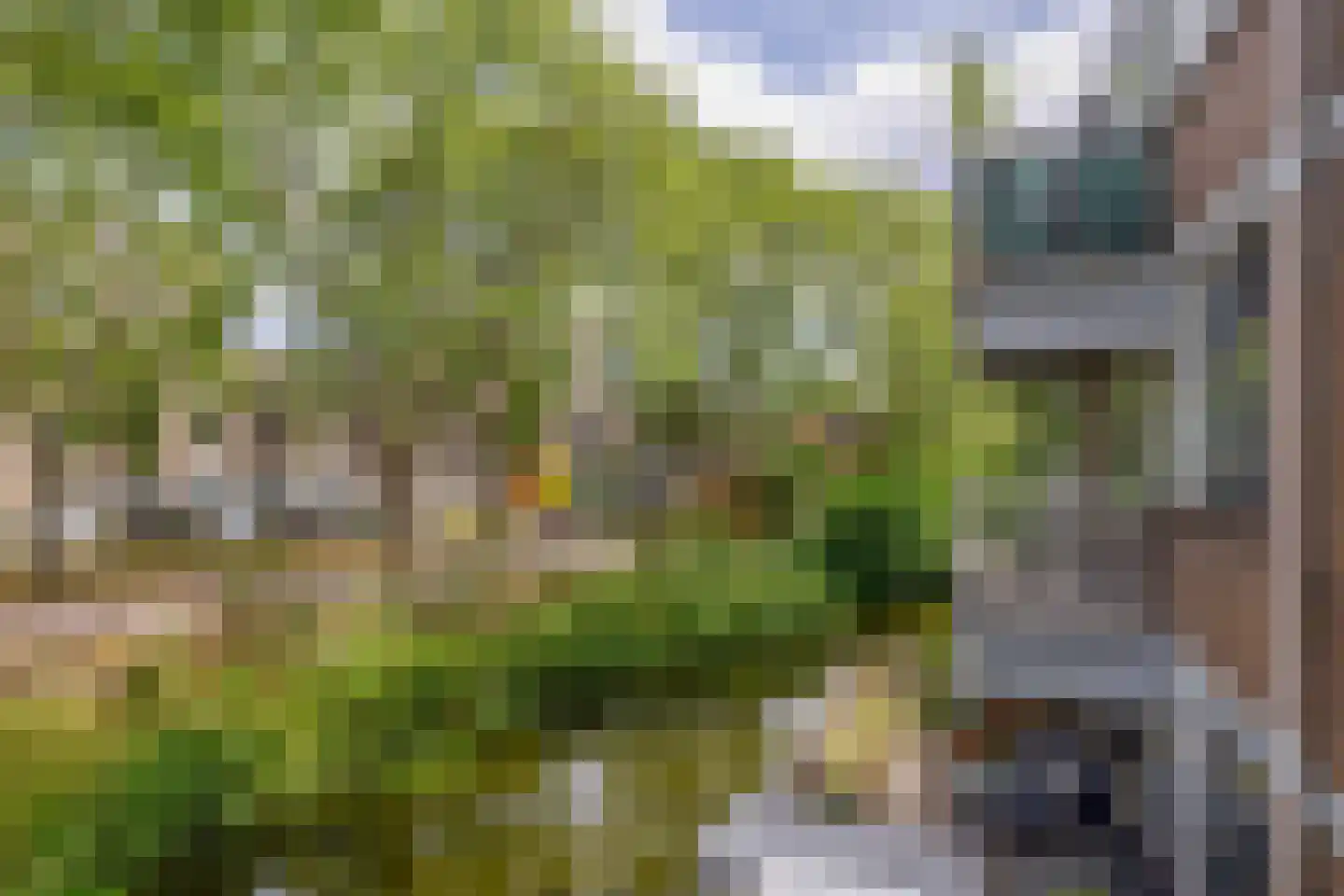 Verwerakker 62 Koog aan de Zaan thumbnail 4