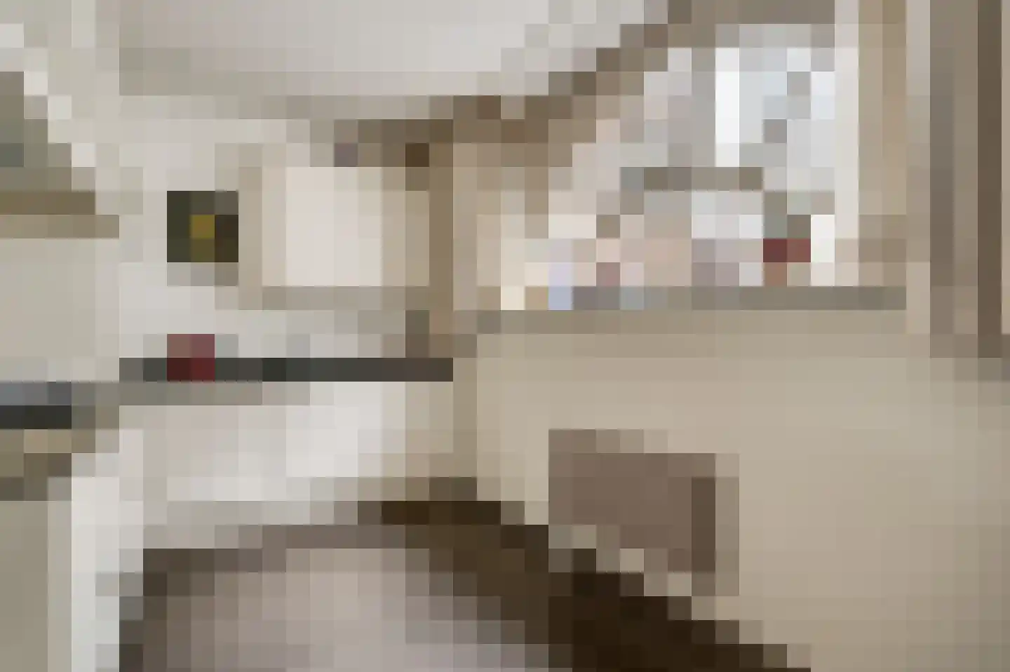Verwerhoek 10 B Maastricht thumbnail 17