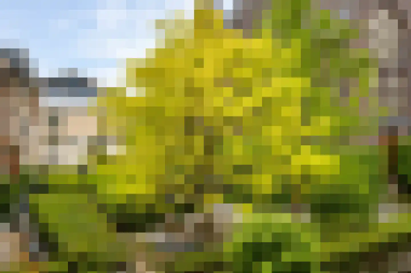 Verwerhoek 10 B Maastricht thumbnail 21