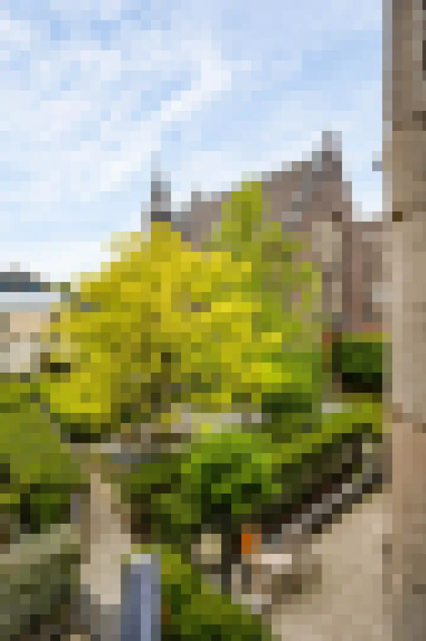 Verwerhoek 10 B Maastricht thumbnail 22