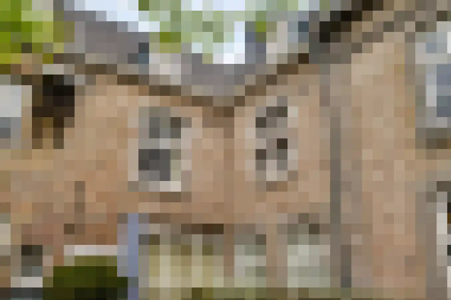 Verwerhoek 10 B Maastricht thumbnail 35