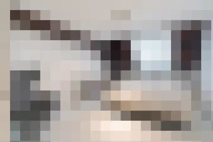 Verwerhoek 10 C Maastricht thumbnail 22