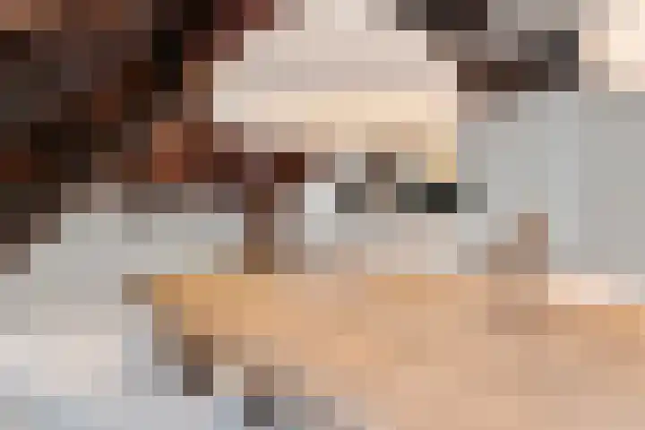 Verwerhoek 10 C Maastricht thumbnail 7