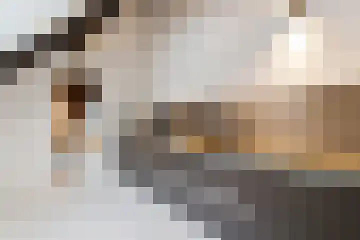 Verwerhoek 10 C Maastricht thumbnail 9