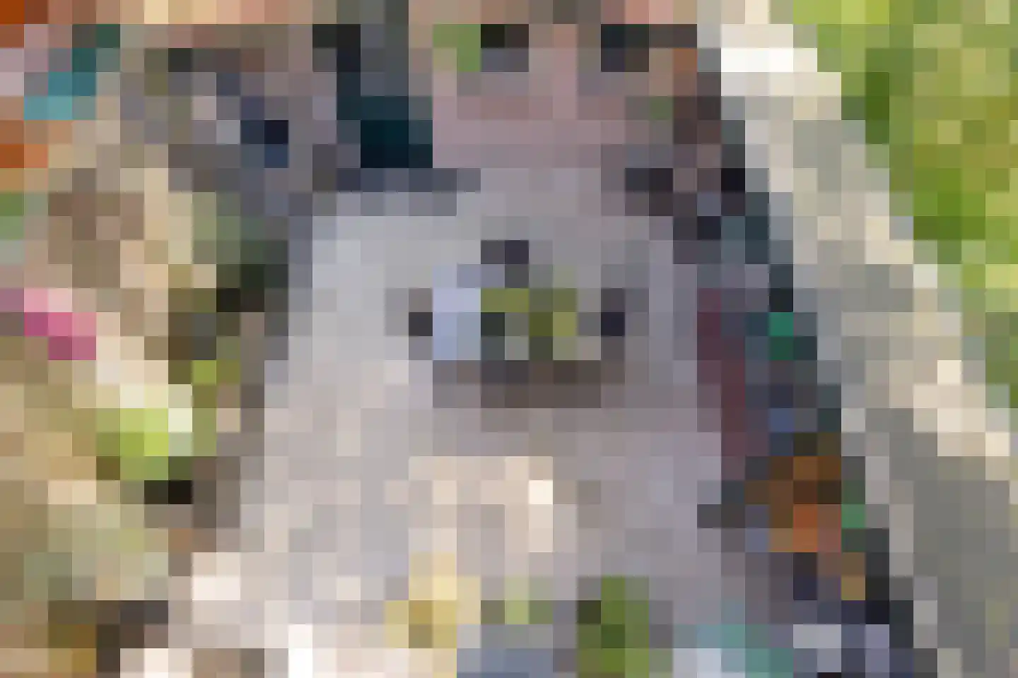 Verwerijstraat 20 Middelburg thumbnail 4