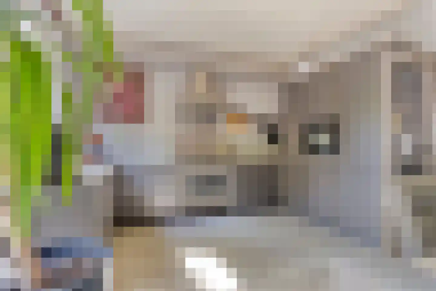 Verwerijstraat 20 Middelburg thumbnail 8