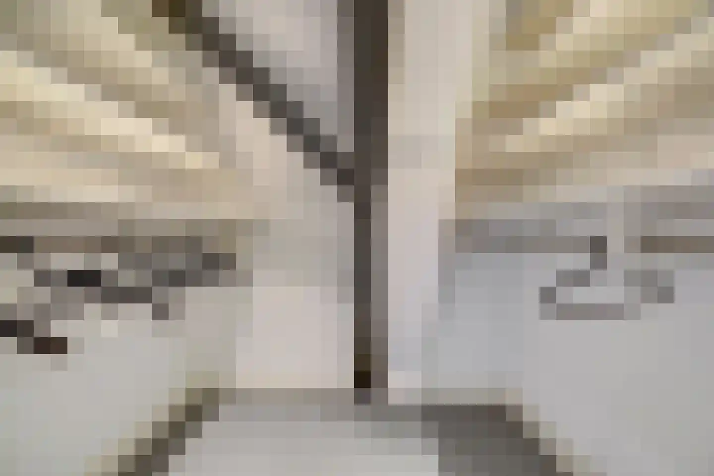 Verwerijstraat 28 Middelburg thumbnail 35