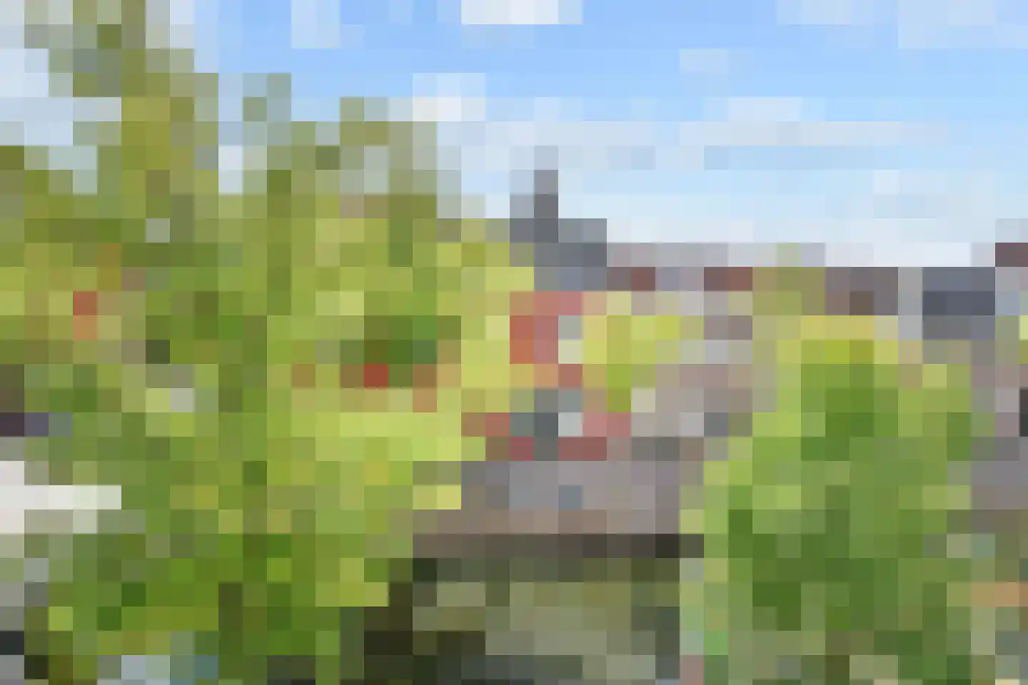 Verwersdijk 12 Delft thumbnail 33