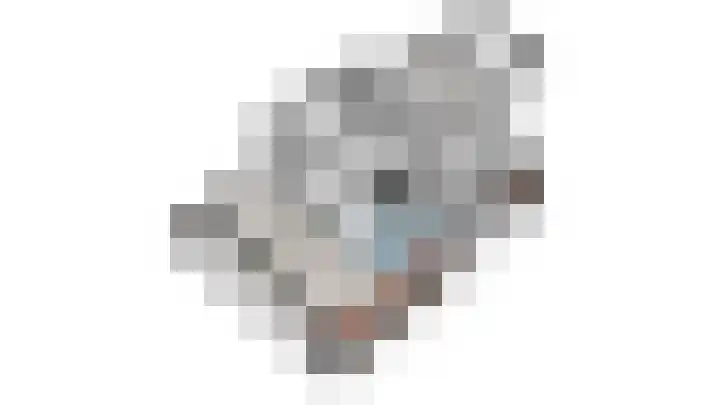 Verwersdijk 132 B Delft thumbnail 32