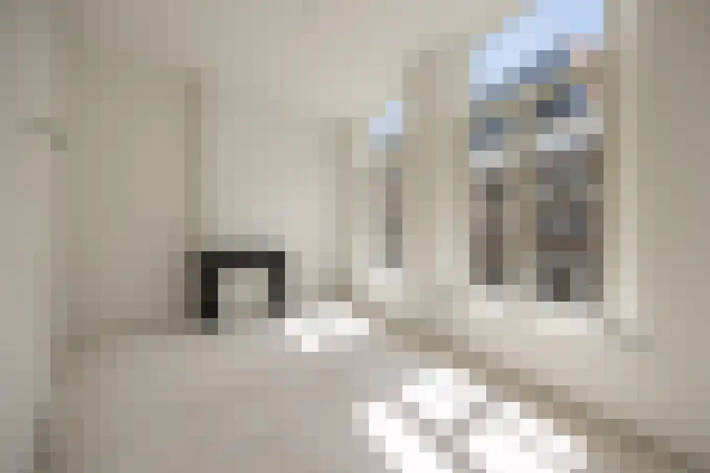 Verwersstraat 104 's-Hertogenbosch thumbnail 16