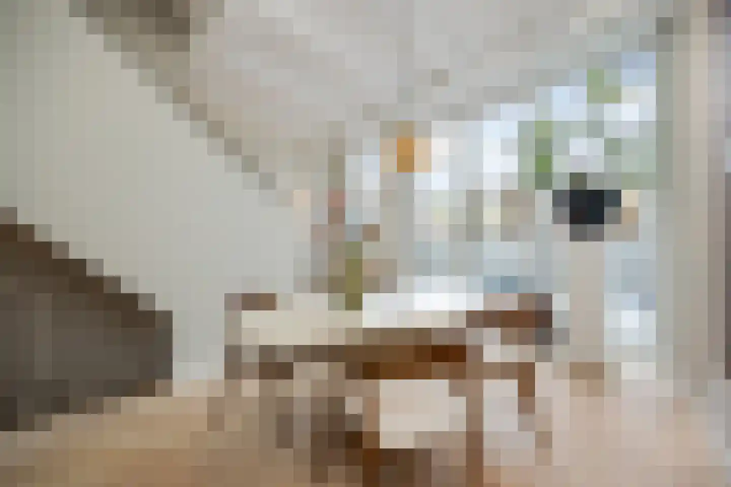 Verwersstraat 106 's-Hertogenbosch thumbnail 17