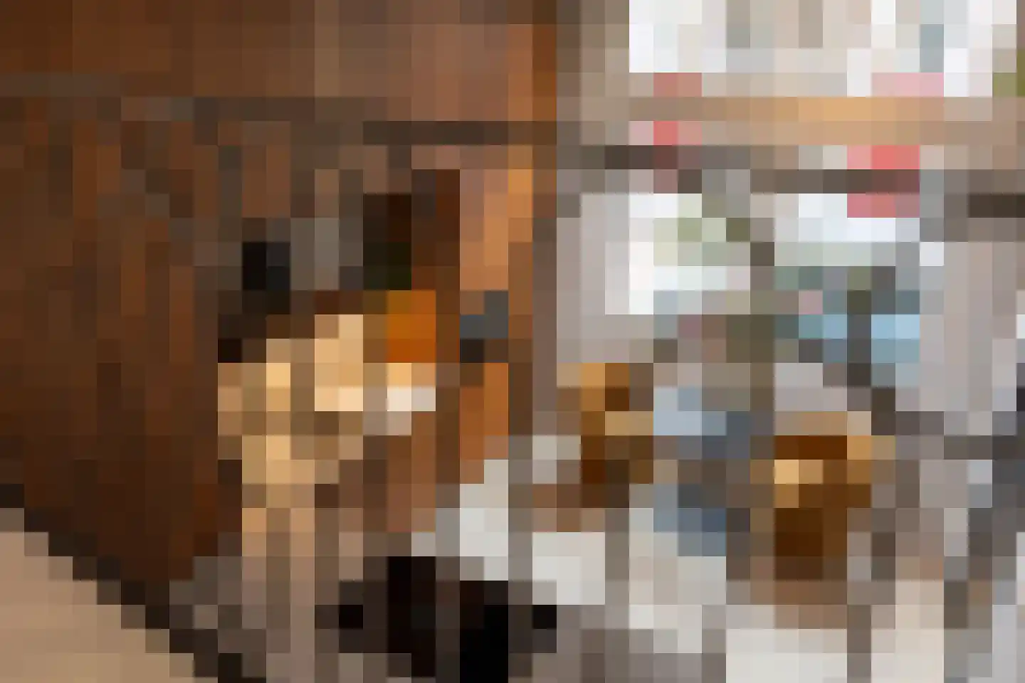 Verwersstraat 106 's-Hertogenbosch thumbnail 22