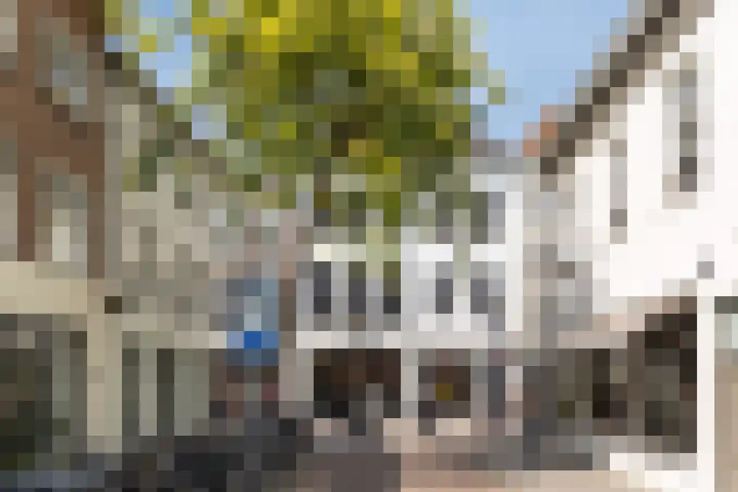 Verwersstraat 106 's-Hertogenbosch thumbnail 49