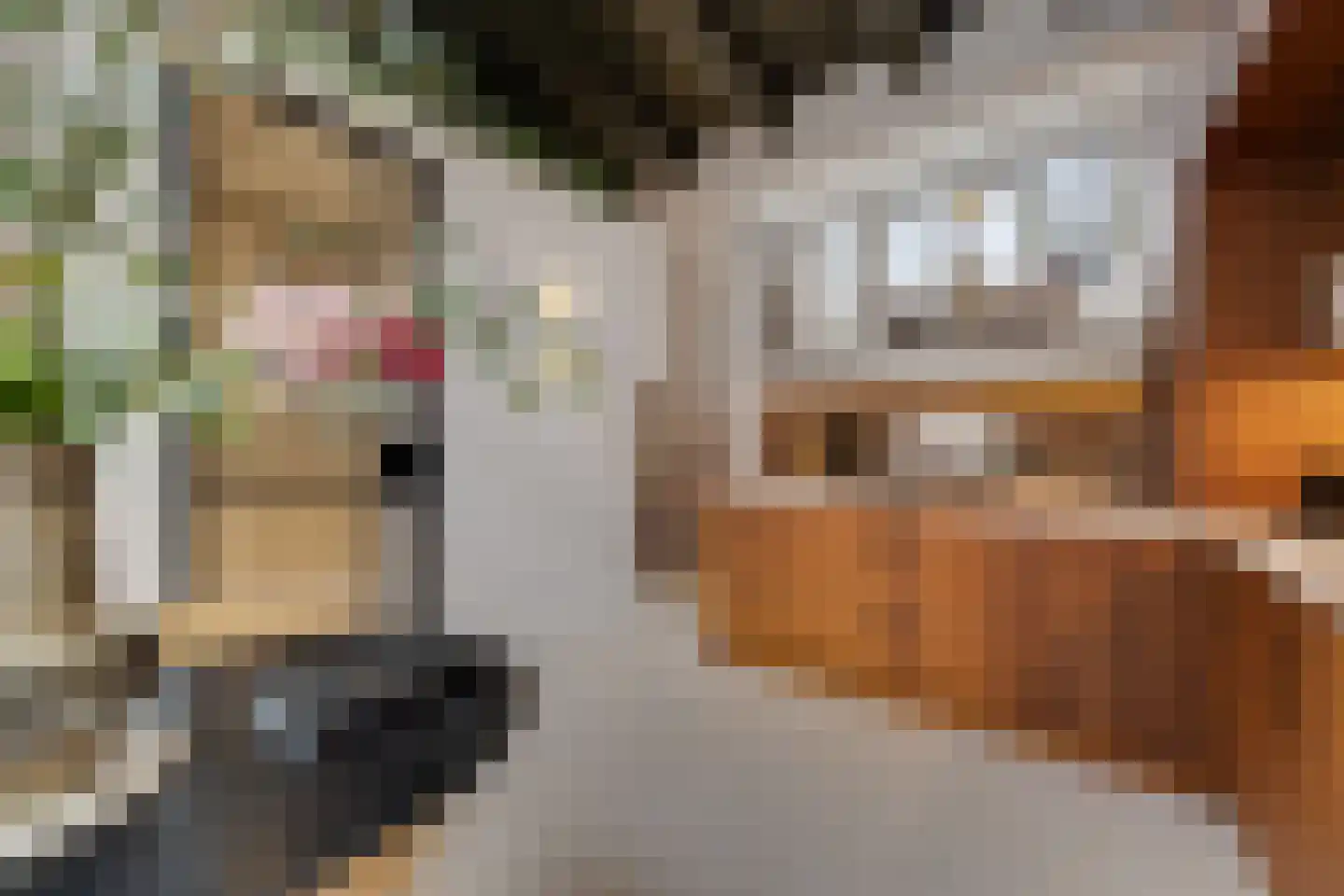 Verwersstraat 106 's-Hertogenbosch thumbnail 5