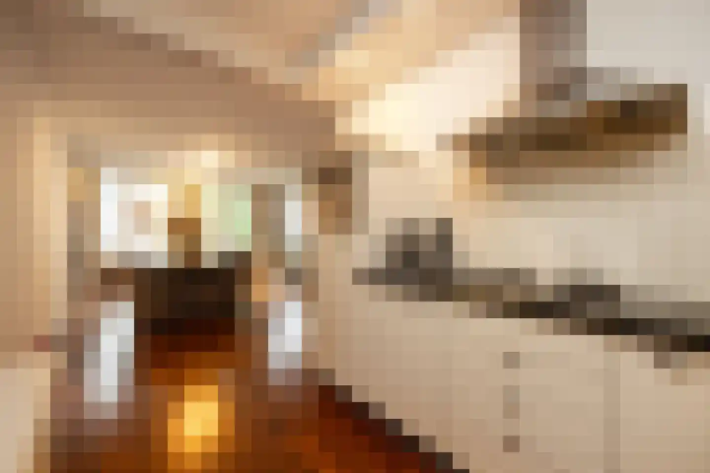Verwersstraat 11 's-Hertogenbosch thumbnail 11