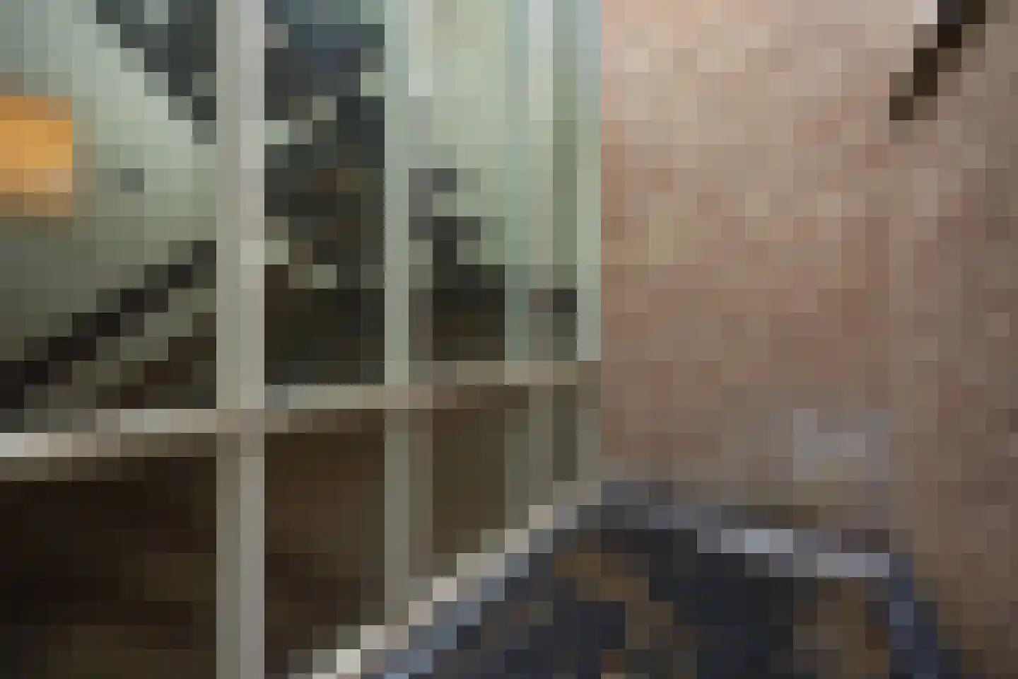 Verwersstraat 11 's-Hertogenbosch thumbnail 20